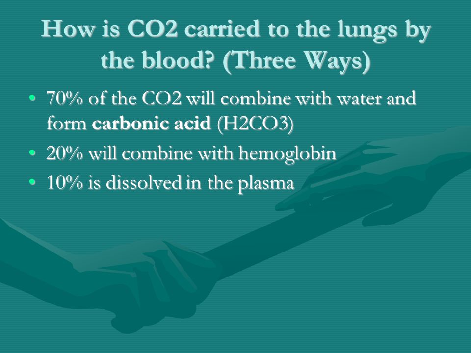 How is CO2 carried to the lungs by the blood.