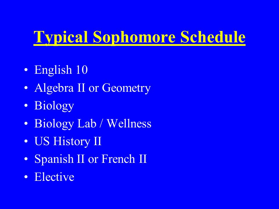 Typical Sophomore Schedule English 10 Algebra II or Geometry Biology Biology Lab / Wellness US History II Spanish II or French II Elective