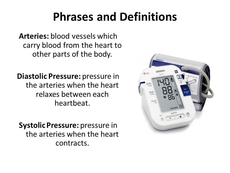 Phrases and Definitions Arteries: blood vessels which carry blood from the heart to other parts of the body.