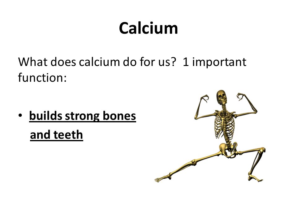Calcium What does calcium do for us 1 important function: builds strong bones and teeth
