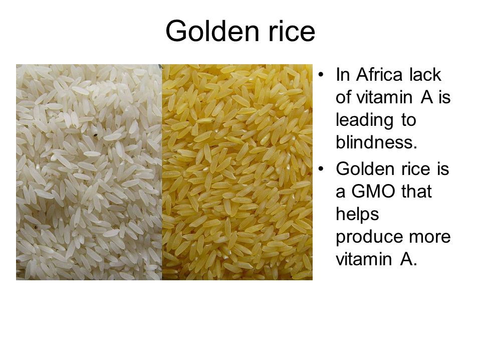 Golden rice In Africa lack of vitamin A is leading to blindness.