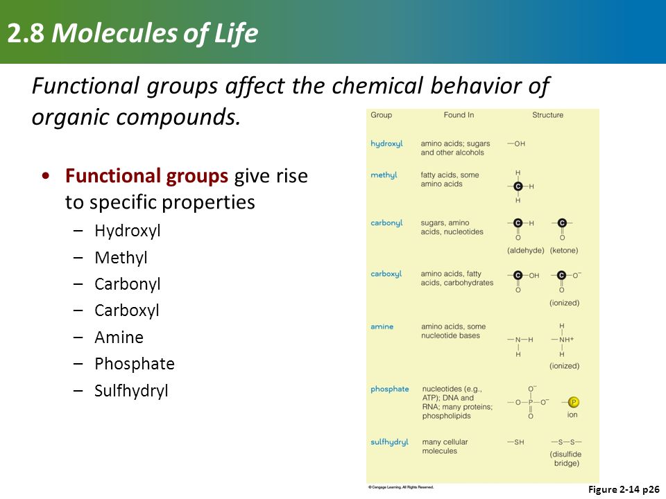 properties of functional groups essay properties of functional groups essay
