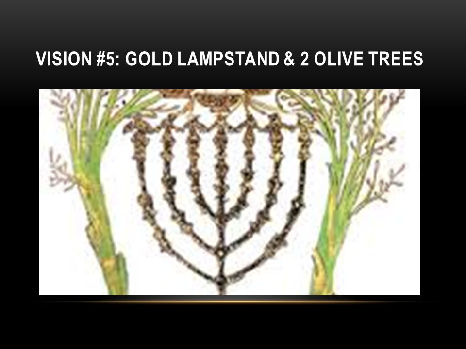 VISION #5: GOLD LAMPSTAND & 2 OLIVE TREES