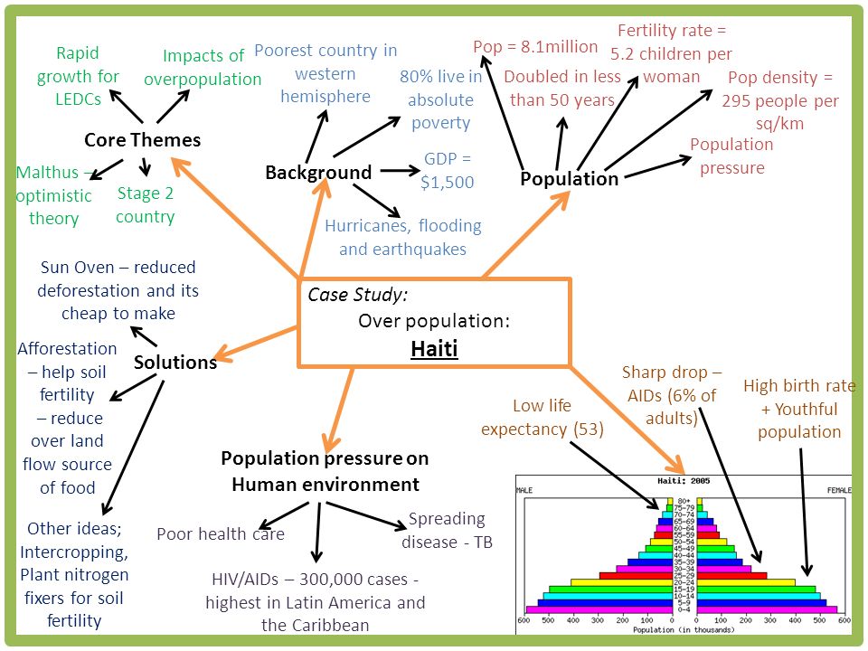 Structure Of An Analytical Essay