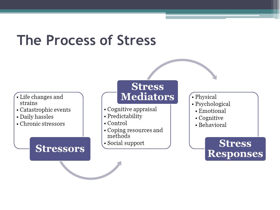 psychology stress management essay Five tips to help manage stress stress management: advancing psychology to benefit society and improve people’s lives. psychology stress management essay Five tips to help manage stress stress management: advancing psychology to benefit society and improve people’s lives.