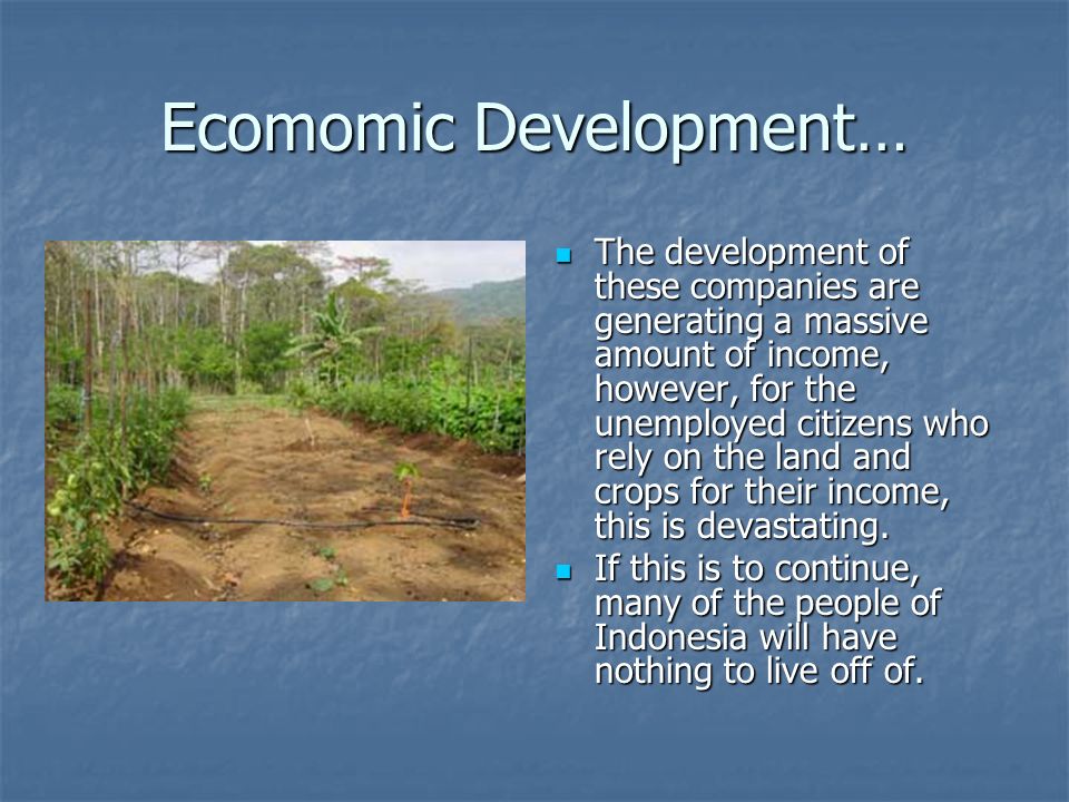 Ecomomic Development… The development of these companies are generating a massive amount of income, however, for the unemployed citizens who rely on the land and crops for their income, this is devastating.