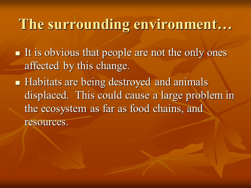 The surrounding environment… It is obvious that people are not the only ones affected by this change.