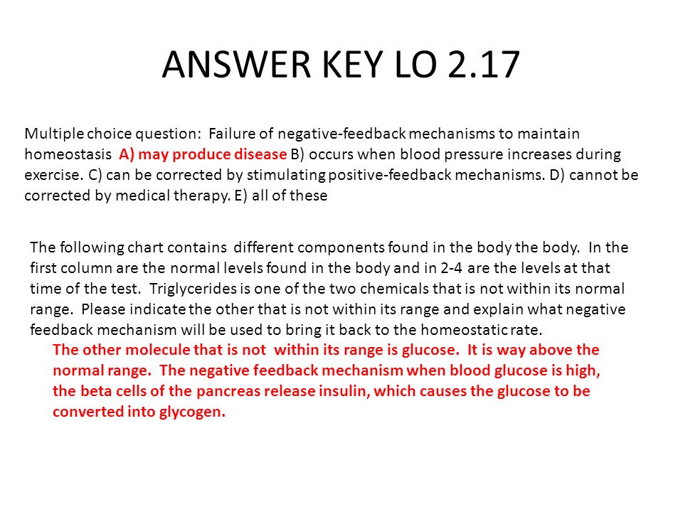 Essays About Health Concept Homeostasis Essay Custom Paper Service Concept Homeostasis Essay Good Essay Topics For High School also Making A Thesis Statement For An Essay Homeostasis Physiology Paper Ug Anatomy Essays Madrat Co Homeostasis Essay Thesis Statement Examples