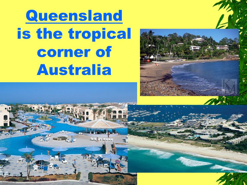Queensland is the tropical corner of Australia