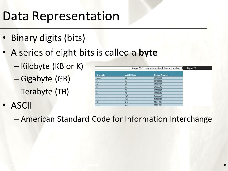 XP New Perspectives on Microsoft Office 2007: Windows XP Edition8 Data Representation Binary digits (bits) A series of eight bits is called a byte – Kilobyte (KB or K) – Gigabyte (GB) – Terabyte (TB) ASCII – American Standard Code for Information Interchange