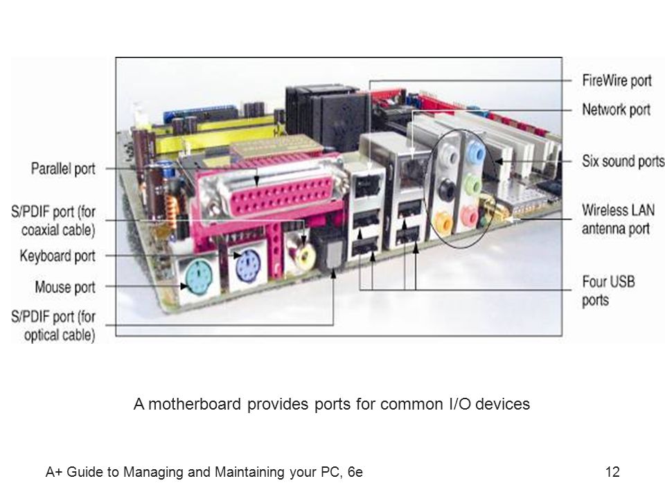 A+ Guide to Managing and Maintaining your PC, 6e12 A motherboard provides ports for common I/O devices