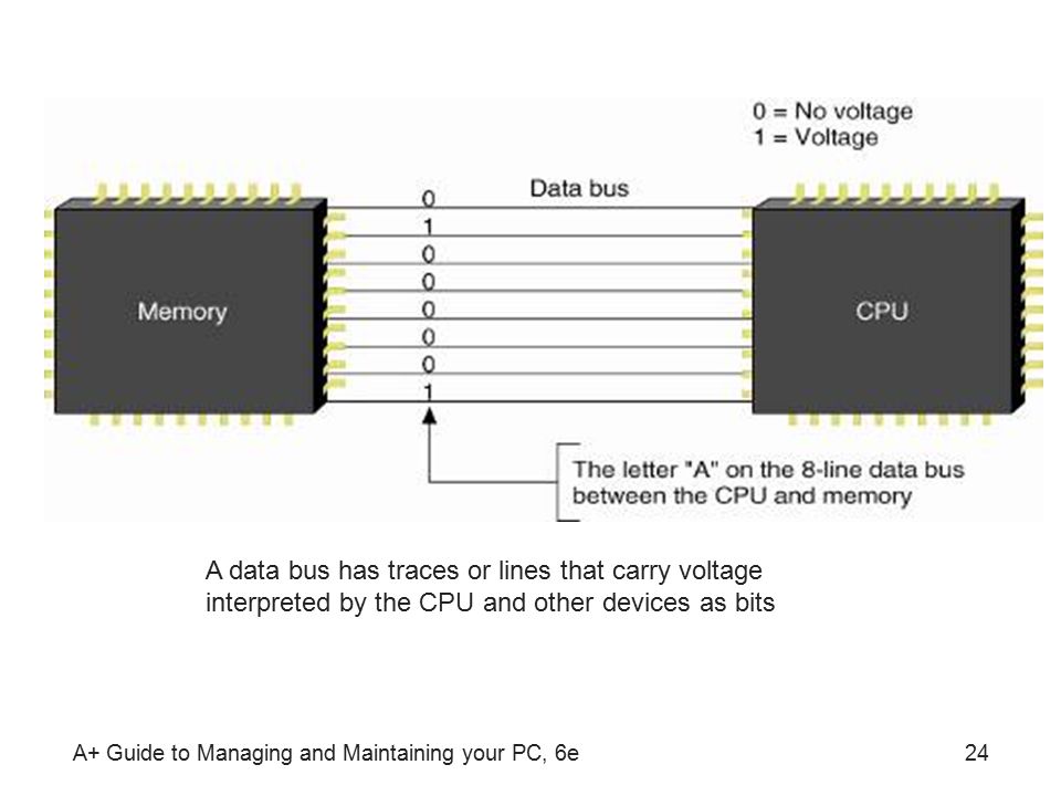 A+ Guide to Managing and Maintaining your PC, 6e24 A data bus has traces or lines that carry voltage interpreted by the CPU and other devices as bits