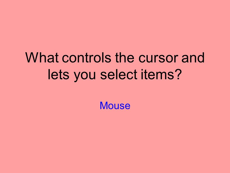 What controls the cursor and lets you select items Mouse