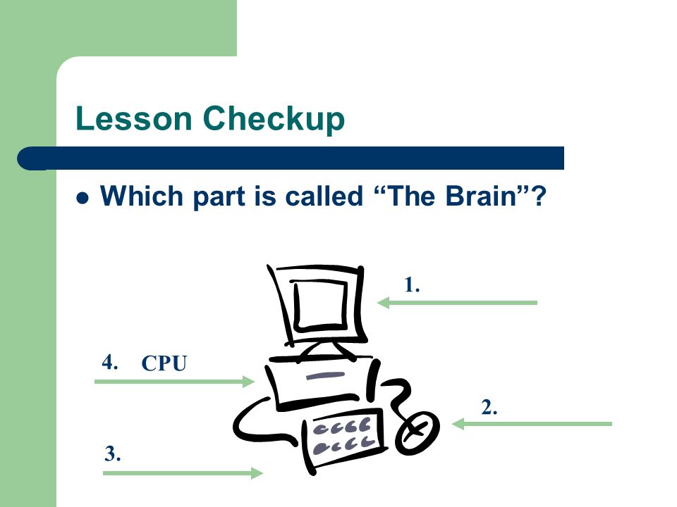 Lesson Checkup Which part is called The Brain CPU