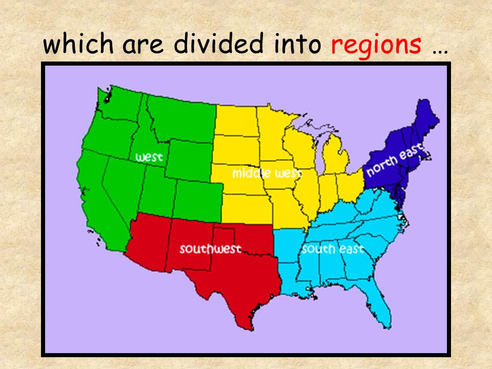 which are divided into regions …