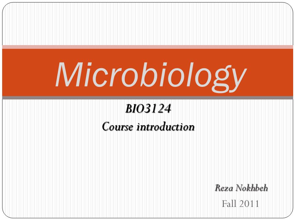 Reza Nokhbeh Fall 2011 Microbiology BIO3124 Course introduction