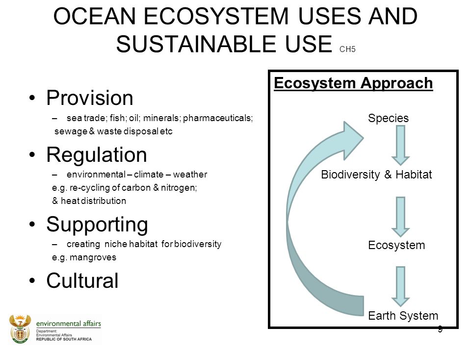 OCEAN ECOSYSTEM USES AND SUSTAINABLE USE CH5 9 Ecosystem Approach Species Biodiversity & Habitat Ecosystem Earth System Provision –sea trade; fish; oil; minerals; pharmaceuticals; sewage & waste disposal etc Regulation –environmental – climate – weather e.g.