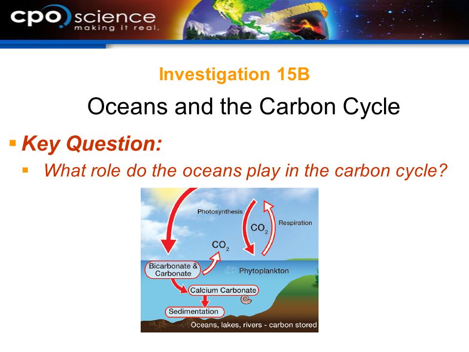 Investigation 15B  Key Question:  What role do the oceans play in the carbon cycle.