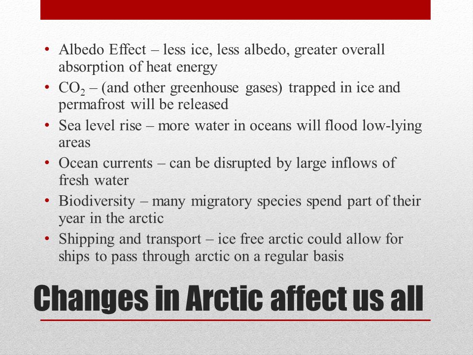 Changes in Arctic affect us all Albedo Effect – less ice, less albedo, greater overall absorption of heat energy CO 2 – (and other greenhouse gases) trapped in ice and permafrost will be released Sea level rise – more water in oceans will flood low-lying areas Ocean currents – can be disrupted by large inflows of fresh water Biodiversity – many migratory species spend part of their year in the arctic Shipping and transport – ice free arctic could allow for ships to pass through arctic on a regular basis