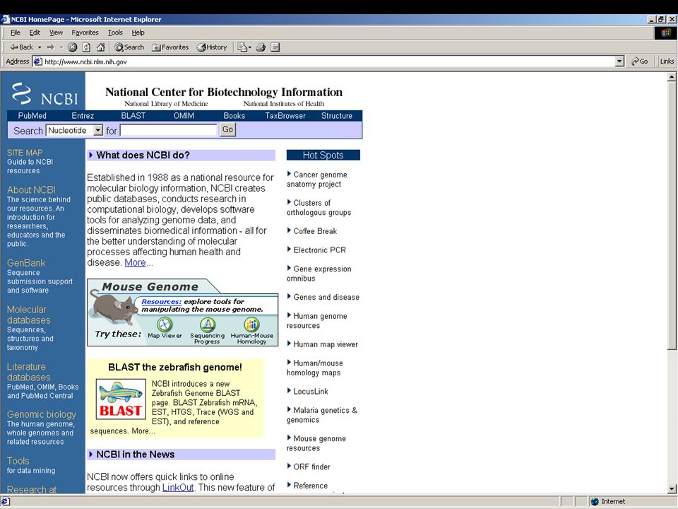 Bioinformatics Computer Programs