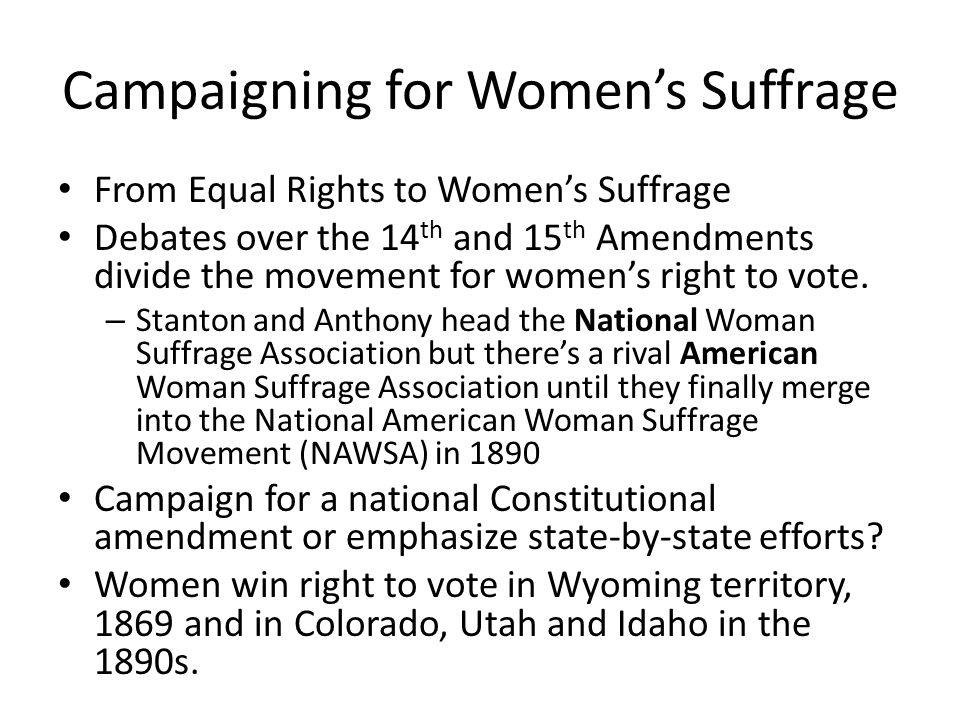 Woman Suffrage Movement Essay