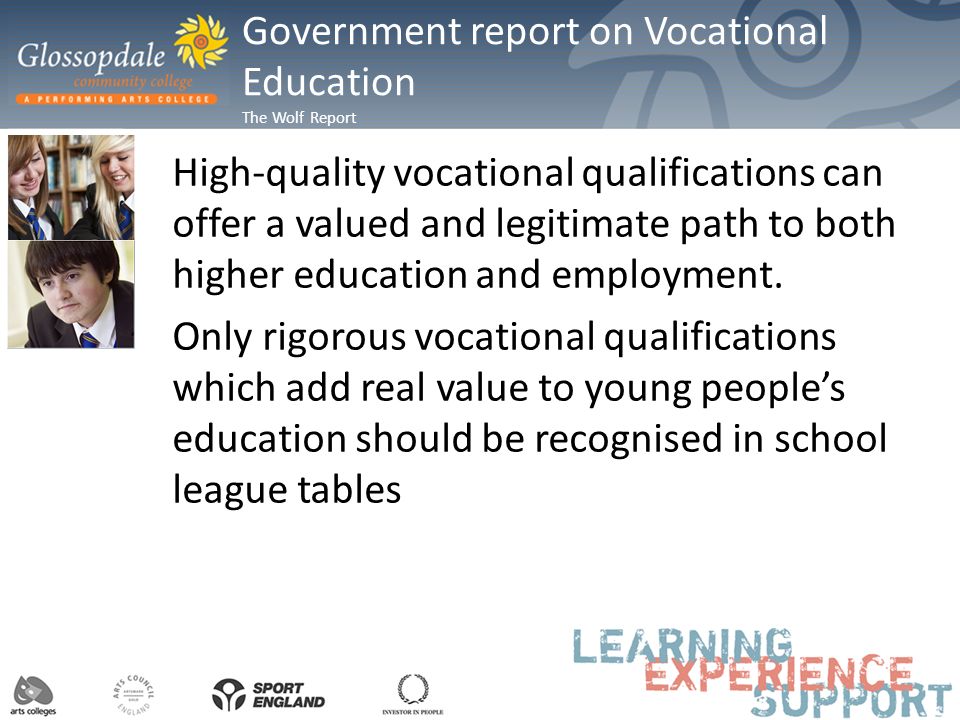 Government report on Vocational Education The Wolf Report High-quality vocational qualifications can offer a valued and legitimate path to both higher education and employment.