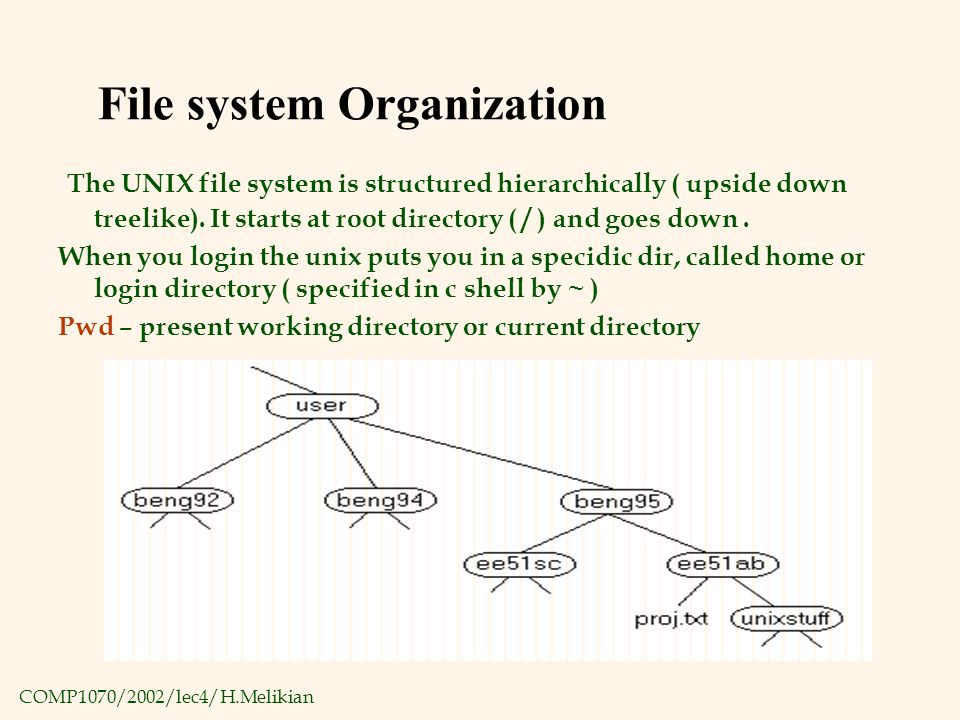 COMP1070/2002/lec4/H.Melikian File system Organization The UNIX file system is structured hierarchically ( upside down treelike).
