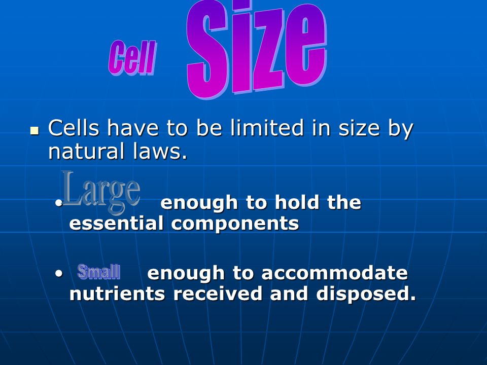 Cells have to be limited in size by natural laws. Cells have to be limited in size by natural laws.