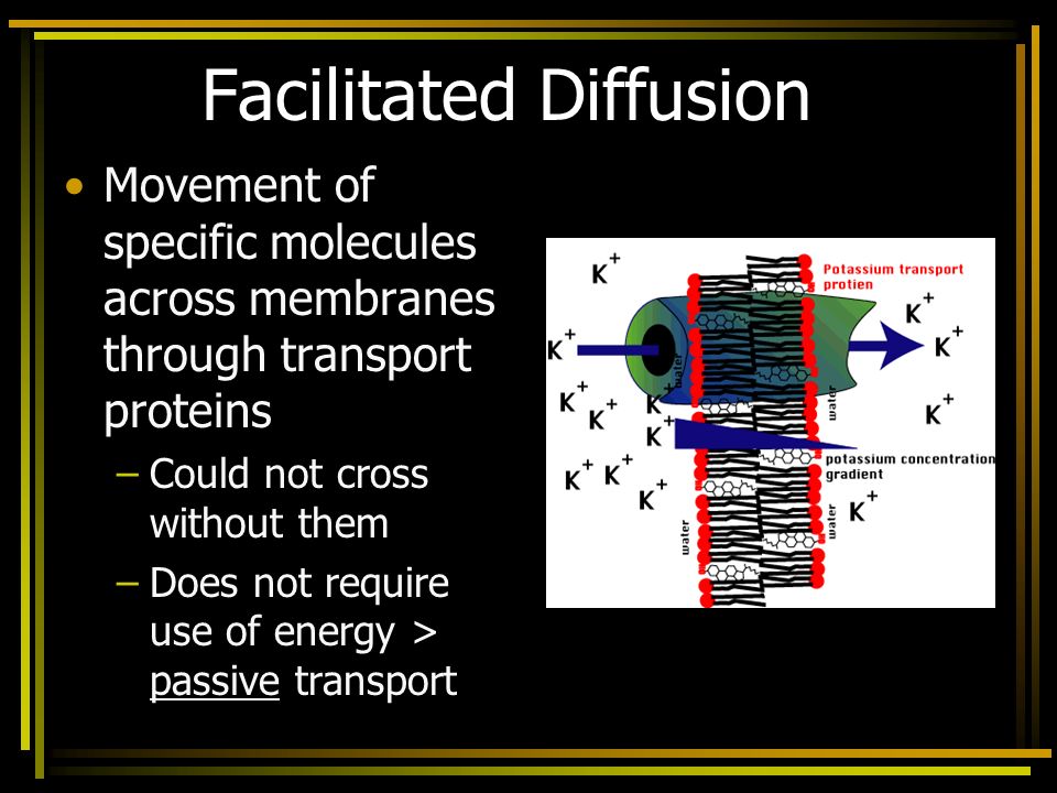 html       facilitated diffusion movement of specific molecules