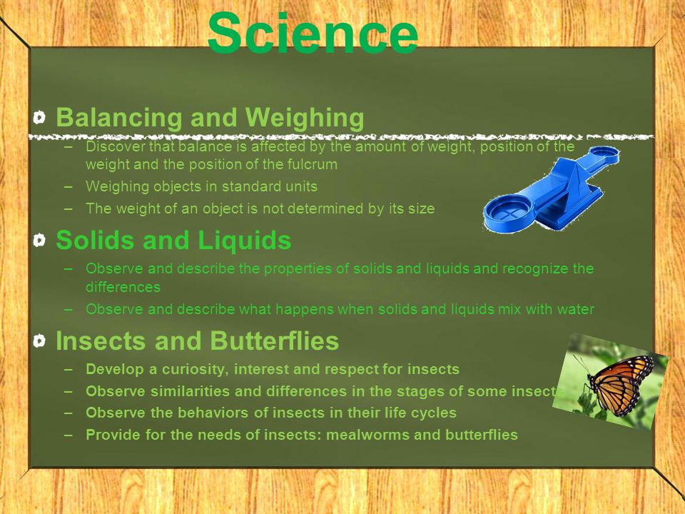 Science Balancing and Weighing –Discover that balance is affected by the amount of weight, position of the weight and the position of the fulcrum –Weighing objects in standard units –The weight of an object is not determined by its size Solids and Liquids –Observe and describe the properties of solids and liquids and recognize the differences –Observe and describe what happens when solids and liquids mix with water Insects and Butterflies –Develop a curiosity, interest and respect for insects –Observe similarities and differences in the stages of some insects –Observe the behaviors of insects in their life cycles –Provide for the needs of insects: mealworms and butterflies