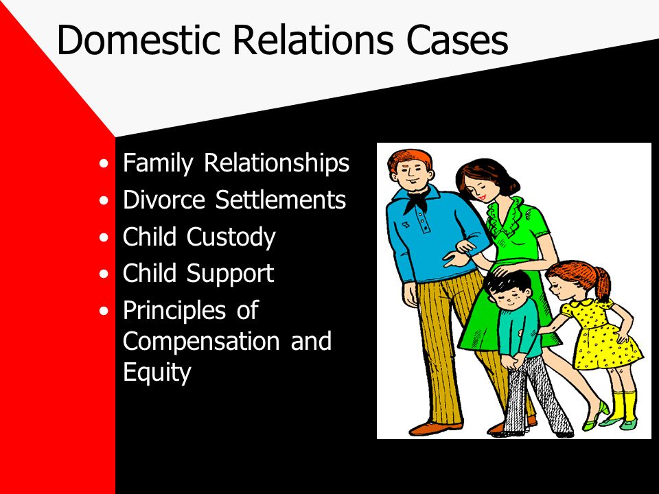 Domestic Relations Cases Family Relationships Divorce Settlements Child Custody Child Support Principles of Compensation and Equity