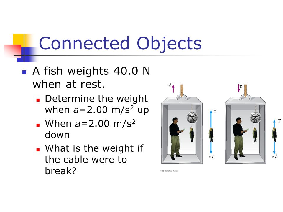 Connected Objects A fish weights 40.0 N when at rest.