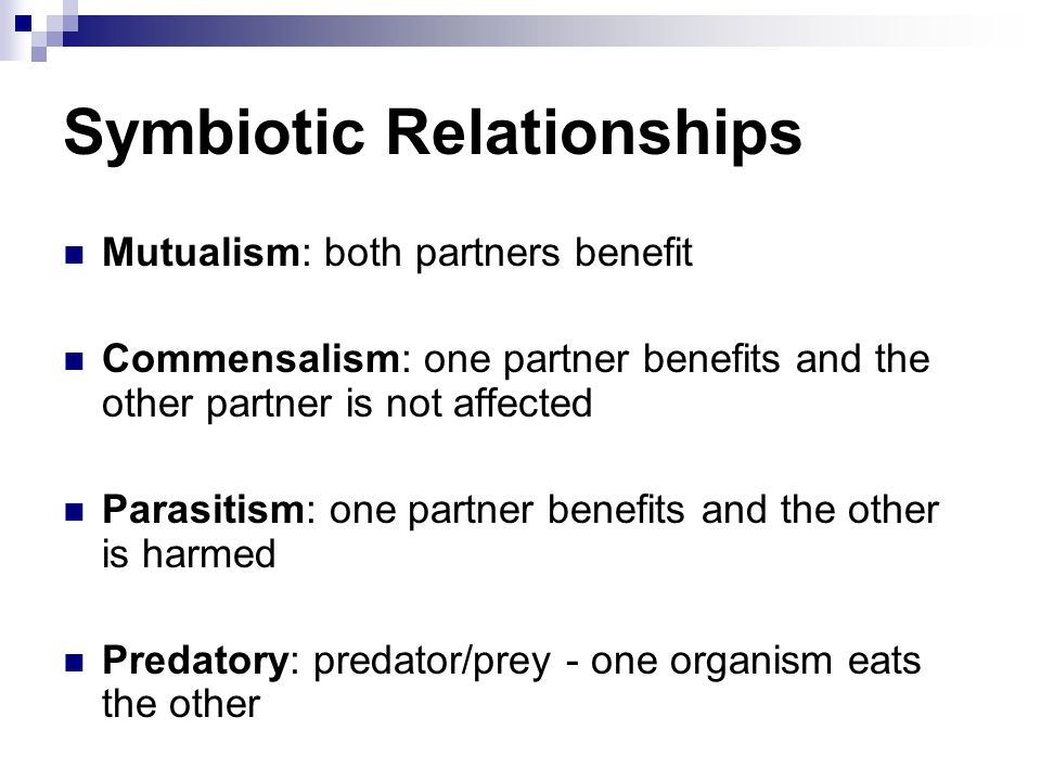 Symbiotic Relationships Mutualism: both partners benefit Commensalism: one partner benefits and the other partner is not affected Parasitism: one partner benefits and the other is harmed Predatory: predator/prey - one organism eats the other
