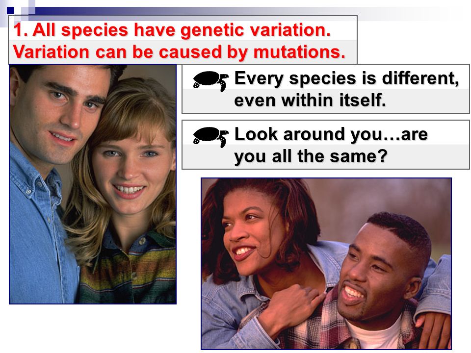 1. All species have genetic variation. Variation can be caused by mutations.