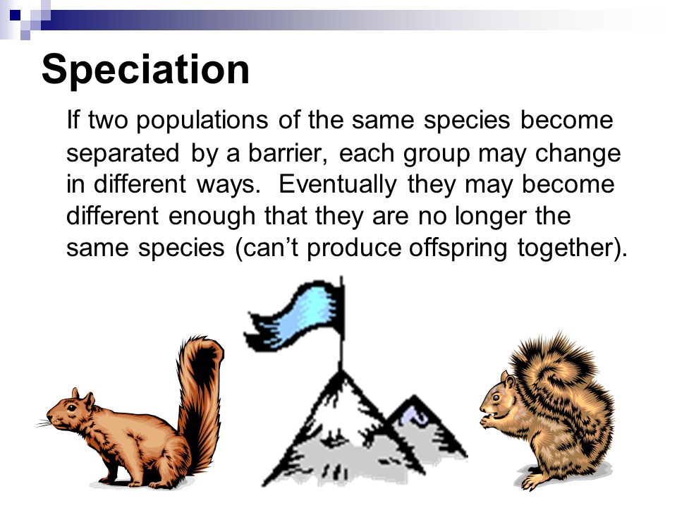 Speciation If two populations of the same species become separated by a barrier, each group may change in different ways.