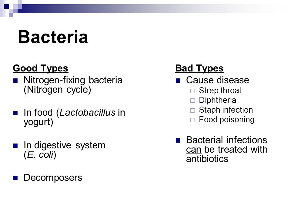 Bacteria Good Types Nitrogen-fixing bacteria (Nitrogen cycle) In food (Lactobacillus in yogurt) In digestive system (E.