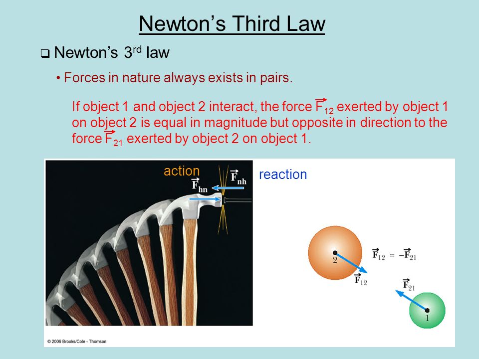 Newton’s Third Law  Newton’s 3 rd law Forces in nature always exists in pairs.