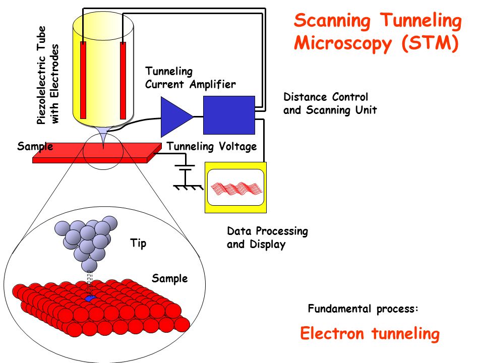 microscope scanning thesis tunneling microscope scanning thesis tunneling