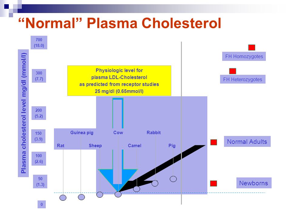 Normal Plasma Cholesterol 700 (18.0) 300 (7.7) 200 (5.2) 150 (3.9) 100 (2.6) 50 (1.3) 0 Plasma cholesterol level mg/dl (mmol/l) Physiologic level for plasma LDL-Cholesterol as predicted from receptor studies 25 mg/dl (0.65mmol/l) FH Homozygotes FH Heterozygotes Normal Adults Newborns Guinea pig Cow Rabbit Rat Sheep Camel Pig