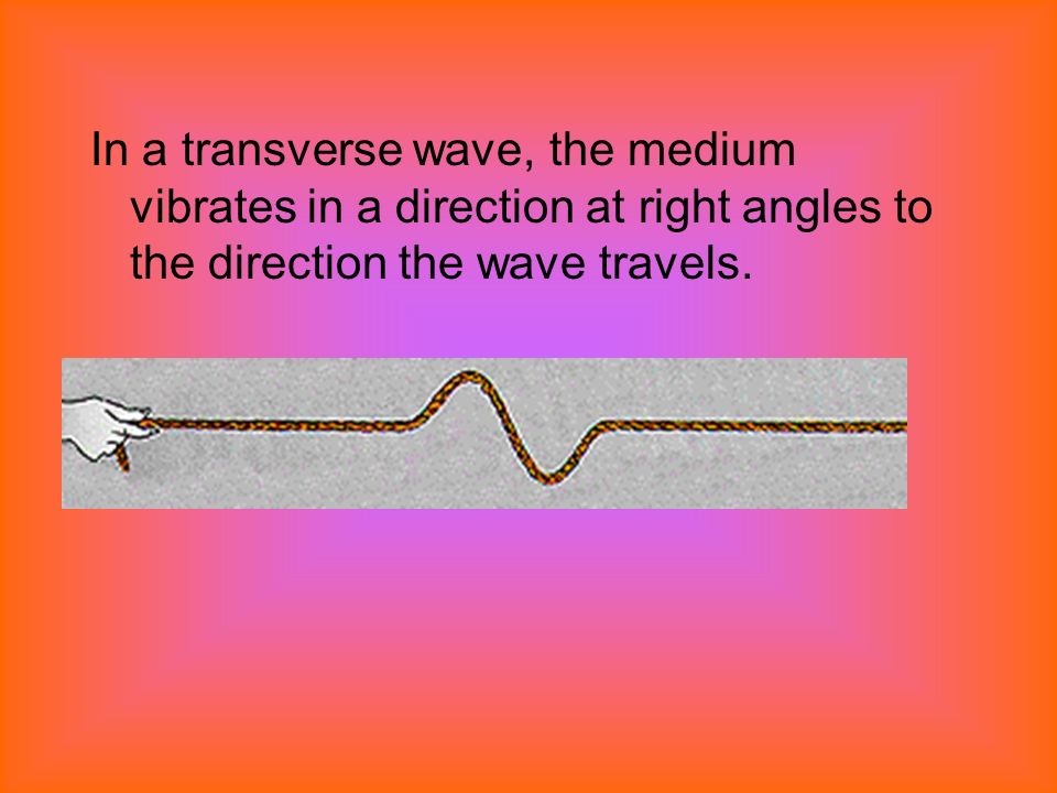 In a transverse wave, the medium vibrates in a direction at right angles to the direction the wave travels.