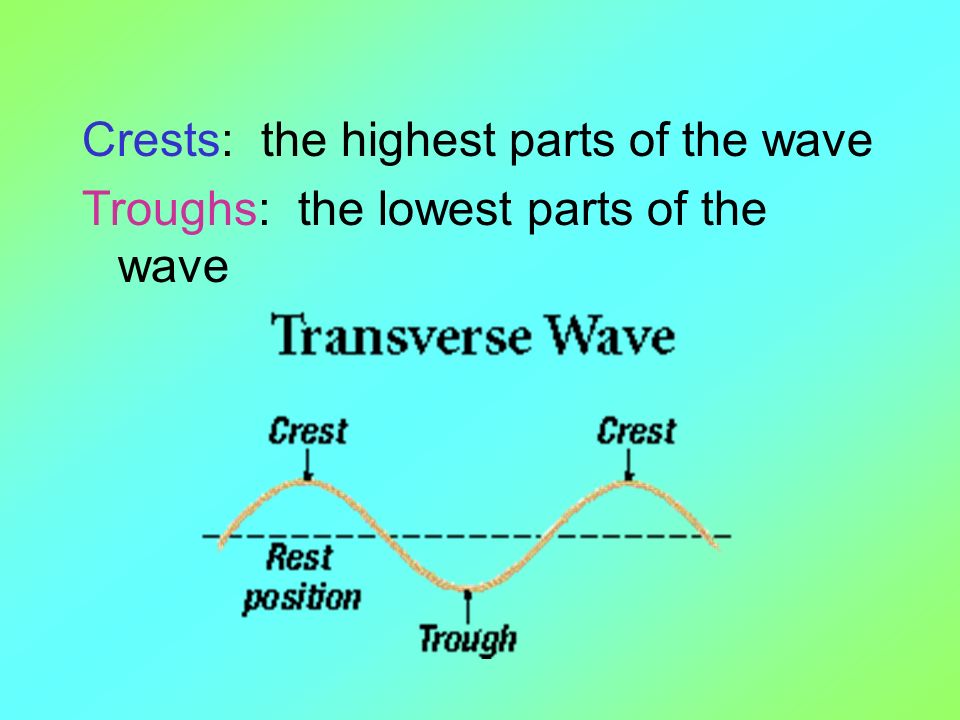 Crests: the highest parts of the wave Troughs: the lowest parts of the wave