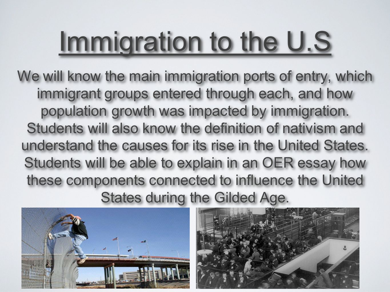 Essay About Immigration in United