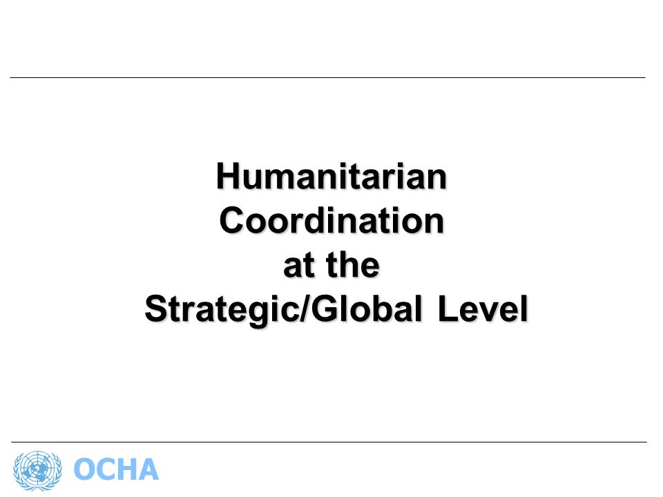 OCHAHumanitarianCoordination at the Strategic/Global Level Strategic/Global Level