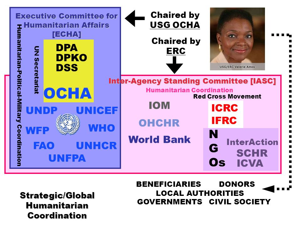 OCHA WFP UNHCR UNICEF FAO UNFPA WHO ICRC IFRC InterAction SCHR ICVA IOM OHCHR World Bank UNDP DPA DPKO Chaired by USG OCHA DONORS GOVERNMENTS BENEFICIARIES UN Secretariat Red Cross Movement N G Os Executive Committee for Humanitarian Affairs [ECHA] LOCAL AUTHORITIES Humanitarian-Political-Military Coordination Humanitarian Coordination Chaired by ERC Inter-Agency Standing Committee [IASC] CIVIL SOCIETY Strategic/Global Humanitarian Coordination DSS