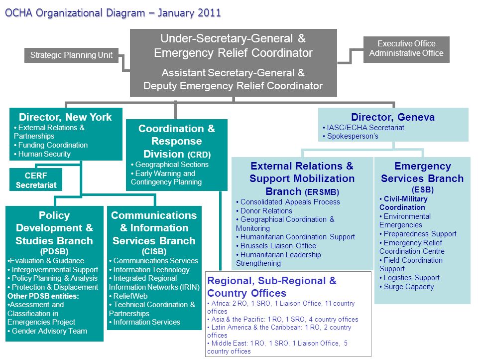 Under-Secretary-General & Emergency Relief Coordinator Assistant Secretary-General & Deputy Emergency Relief Coordinator OCHA Organizational Diagram – January 2011 Regional, Sub-Regional & Country Offices Africa: 2 RO, 1 SRO, 1 Liaison Office, 11 country offices Asia & the Pacific: 1 RO, 1 SRO, 4 country offices Latin America & the Caribbean: 1 RO, 2 country offices Middle East: 1 RO, 1 SRO, 1 Liaison Office, 5 country offices Executive Office Administrative Office Strategic Planning Unit Director, Geneva IASC/ECHA Secretariat Spokesperson’s External Relations & Support Mobilization Branch (ERSMB) Consolidated Appeals Process Donor Relations Geographical Coordination & Monitoring Humanitarian Coordination Support Brussels Liaison Office Humanitarian Leadership Strengthening Emergency Services Branch (ESB) Civil-Military Coordination Environmental Emergencies Preparedness Support Emergency Relief Coordination Centre Field Coordination Support Logistics Support Surge Capacity Director, New York External Relations & Partnerships Funding Coordination Human Security Coordination & Response Division (CRD) Geographical Sections Early Warning and Contingency Planning Policy Development & Studies Branch (PDSB) Evaluation & Guidance Intergovernmental Support Policy Planning & Analysis Protection & Displacement Other PDSB entities: Assessment and Classification in Emergencies Project Gender Advisory Team Communications & Information Services Branch (CISB) Communications Services Information Technology Integrated Regional Information Networks (IRIN) ReliefWeb Technical Coordination & Partnerships Information Services CERF Secretariat