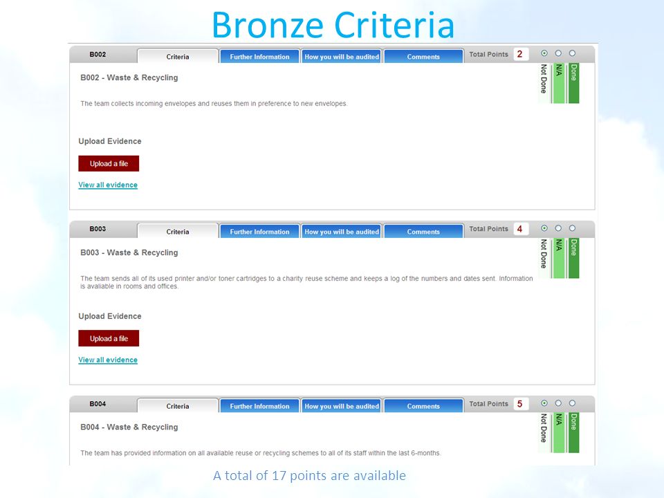 Bronze Criteria A total of 17 points are available