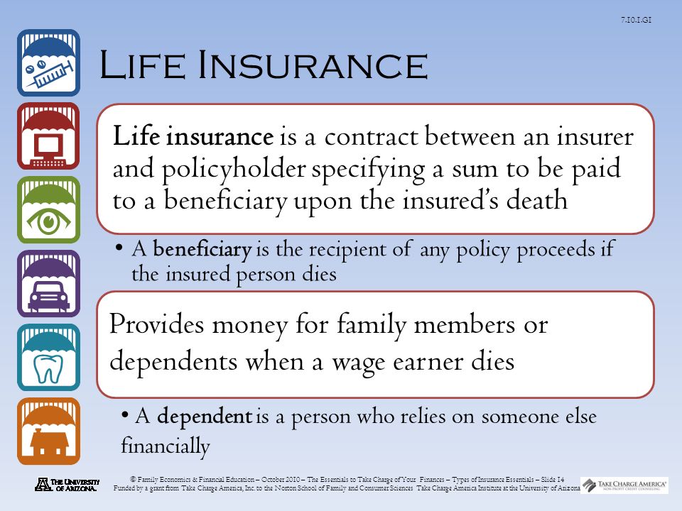 © Family Economics & Financial Education – October 2010 – The Essentials to Take Charge of Your Finances – Types of Insurance Essentials – Slide 14 Funded by a grant from Take Charge America, Inc.