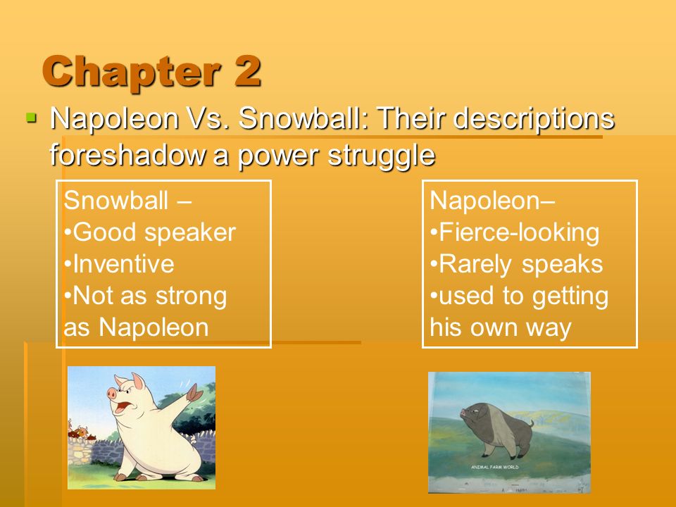 essay questions on animal farm Essay questions on animal farm - let specialists deliver their responsibilities: order the needed task here and expect for the best score quick and trustworthy. essay questions on animal farm Essay questions on animal farm - let specialists deliver their responsibilities: order the needed task here and expect for the best score quick and trustworthy.