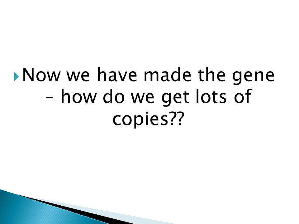 Now we have made the gene – how do we get lots of copies