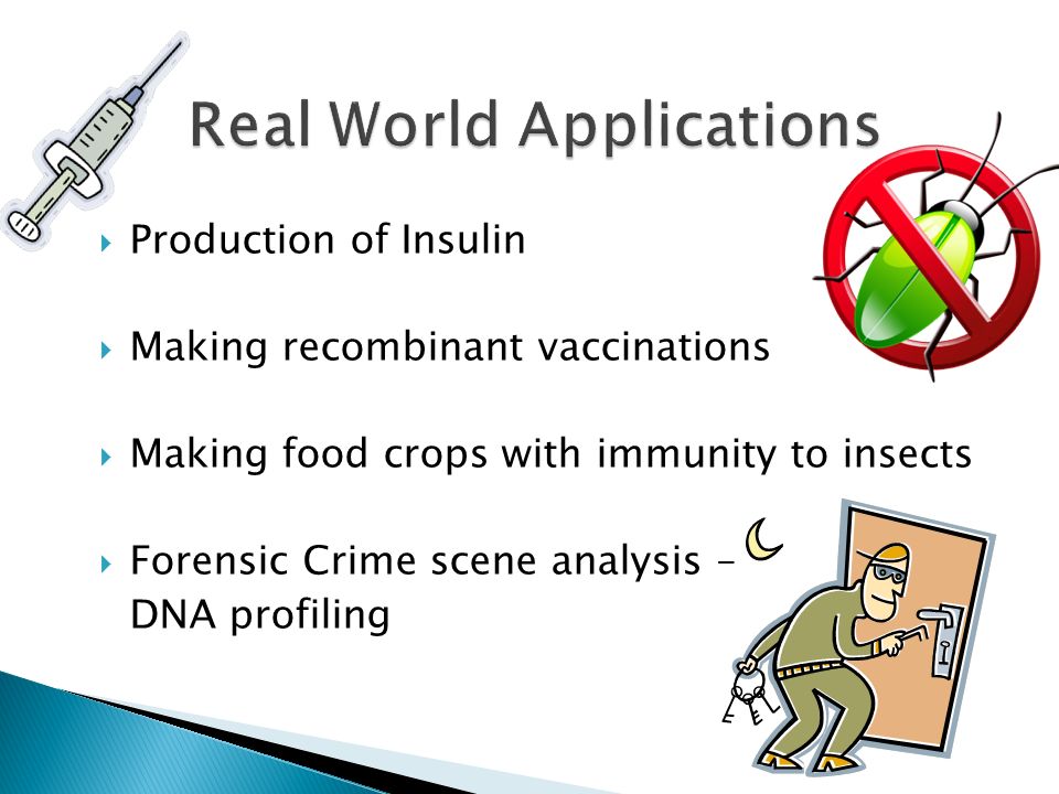  Production of Insulin  Making recombinant vaccinations  Making food crops with immunity to insects  Forensic Crime scene analysis – DNA profiling
